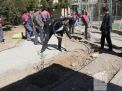 گزارش تصویری مراسم روز درختکاری